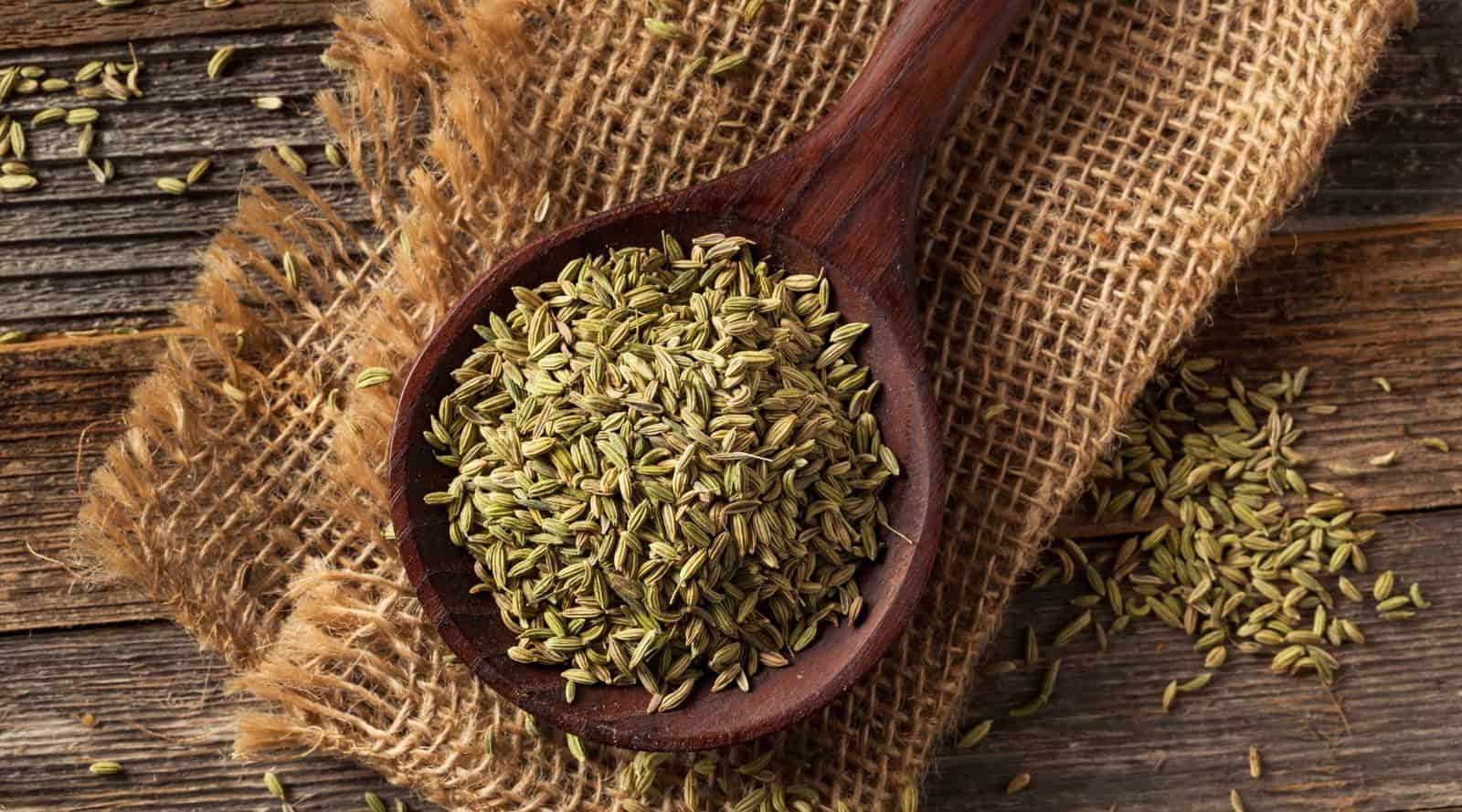 fennel tea: benefits, side effects and how to make it