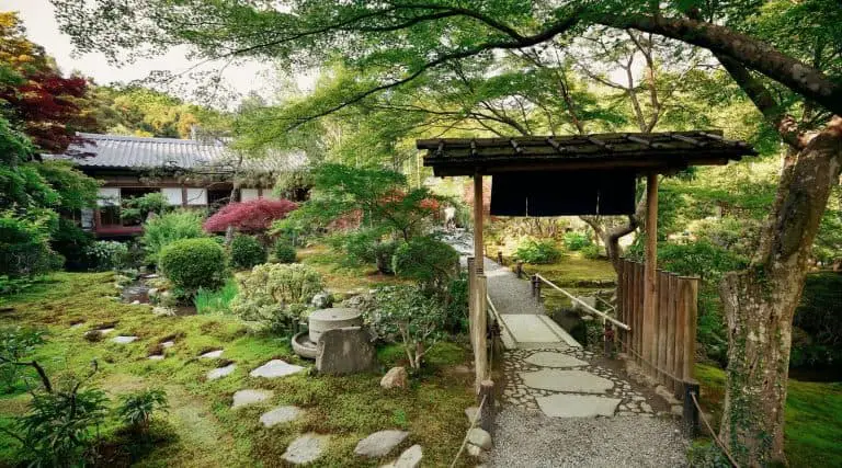 The 10 Best and Most Famous Tea Houses in Japan - topictea.com