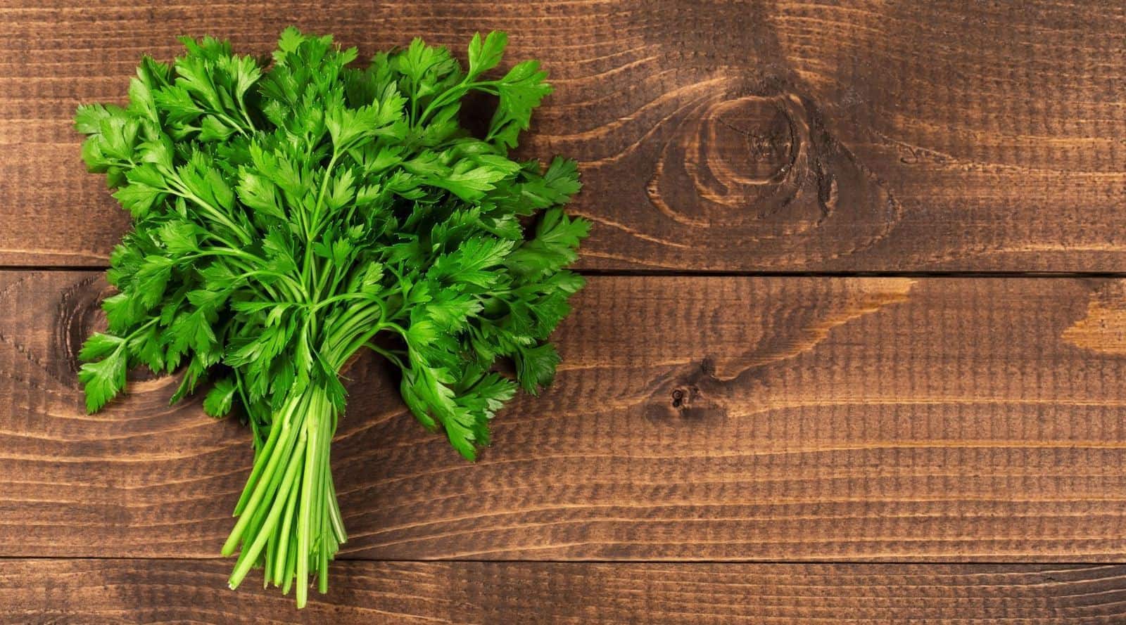 your complete guide to parsley tea