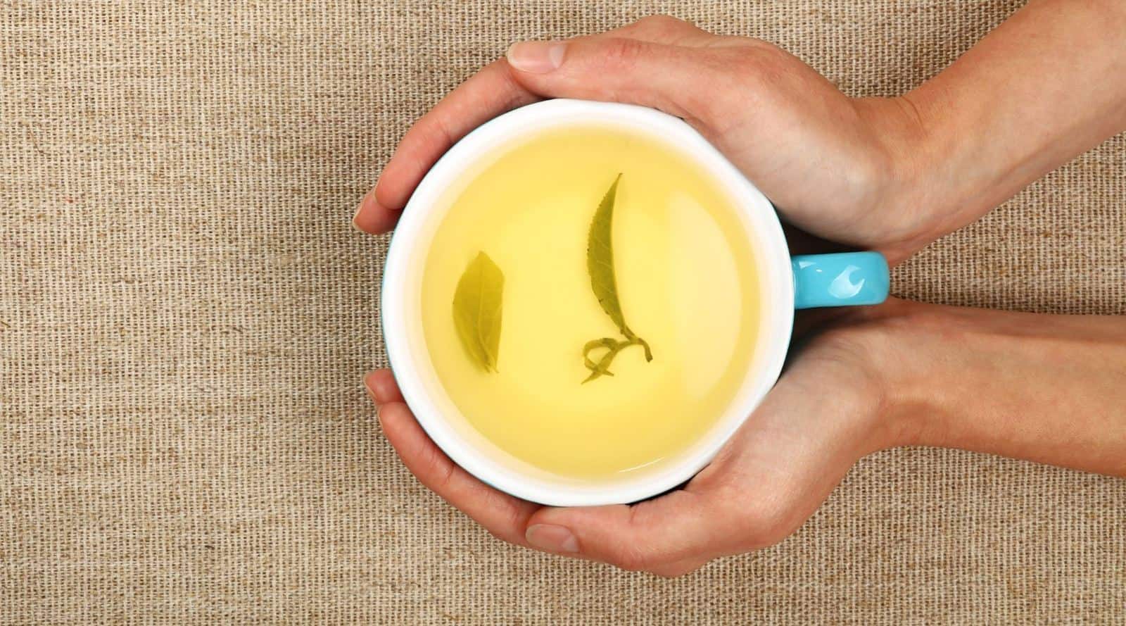 what is yellow tea? origins, taste and more