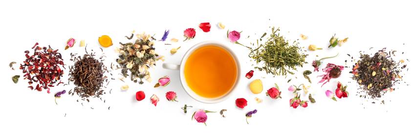 Best Tasting Herbal Teas