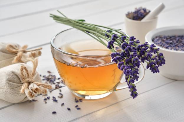 Lavender Tea Health Benefits