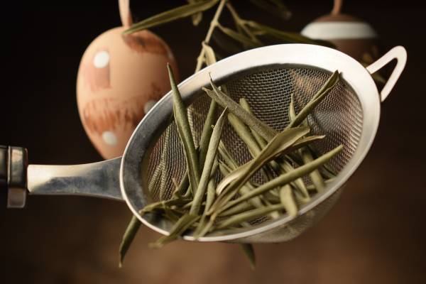Benefits of Olive Leaf Tea