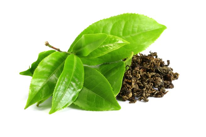 Is Tea Made From Leaves?